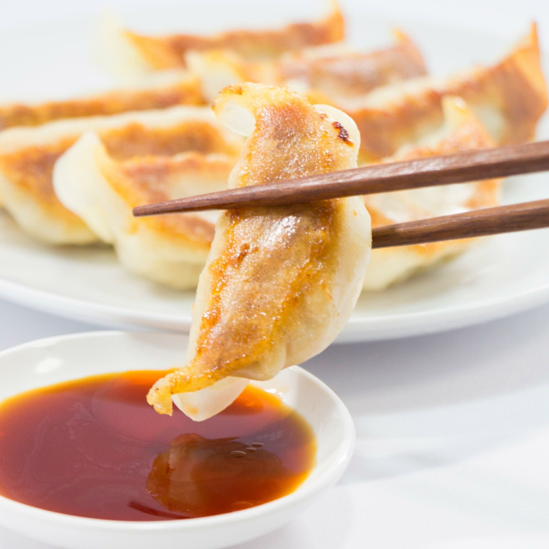 黒豚ひとくち餃子セット | 南州農場公式オンラインショップ